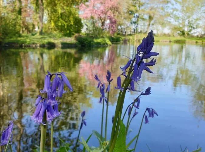 Langdale Lodge At Langdale Lakes, Lincoln Ln3 5Bb